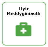 Llyfr Meddygyniaeth